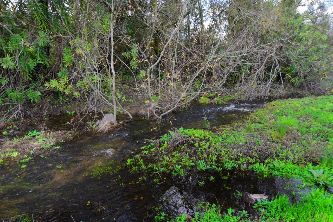 Moinho Da Capela Villa Campo Maior Eksteriør bilde