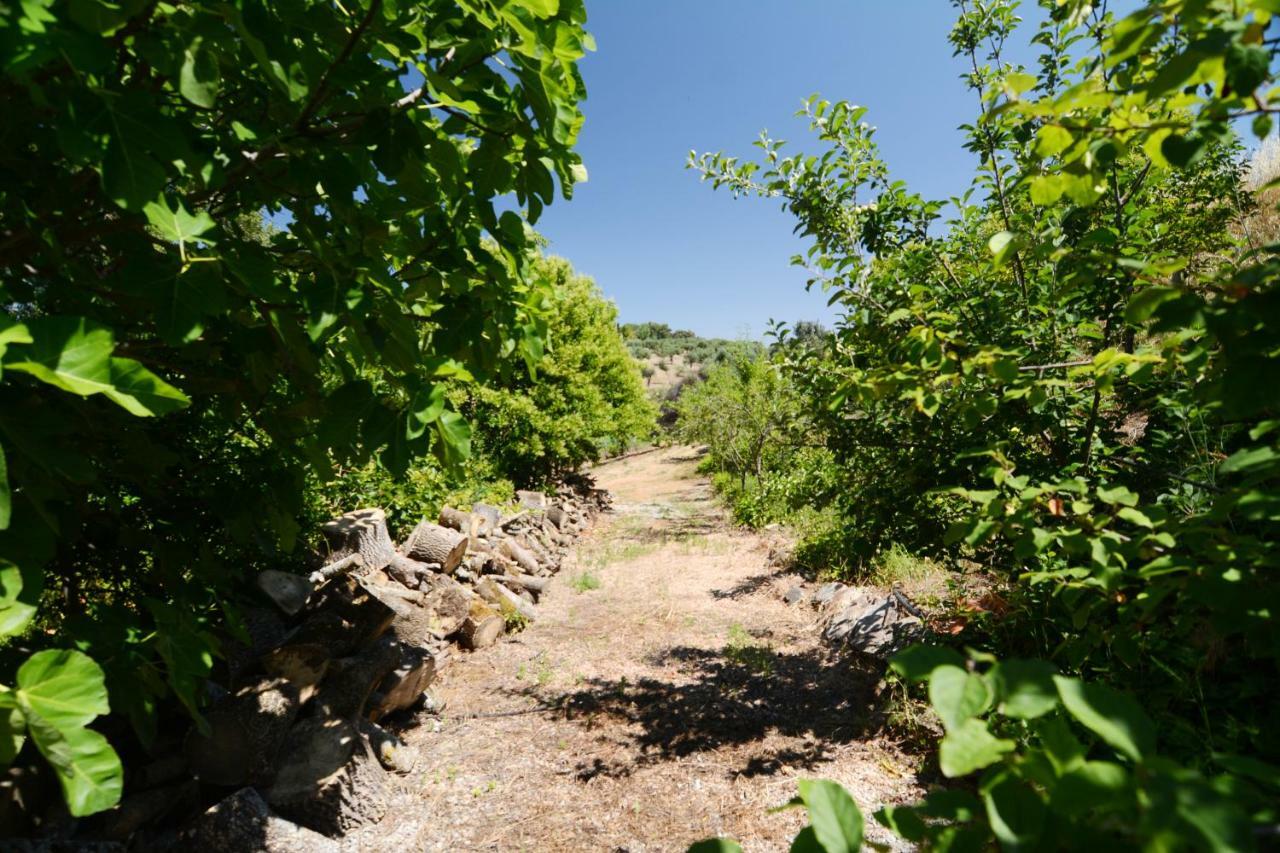 Moinho Da Capela Villa Campo Maior Eksteriør bilde